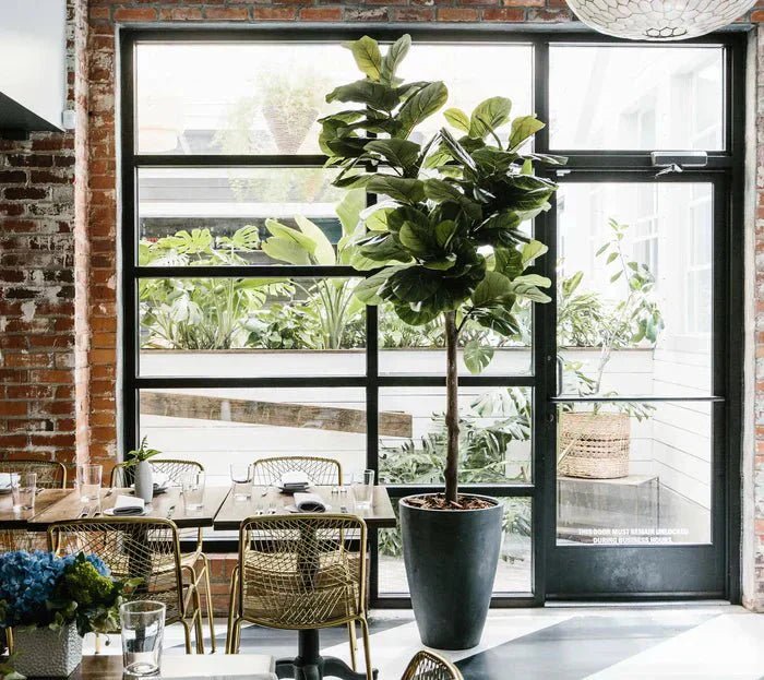 Are faux plants worth it - and what makes some better than others - TidyPlant