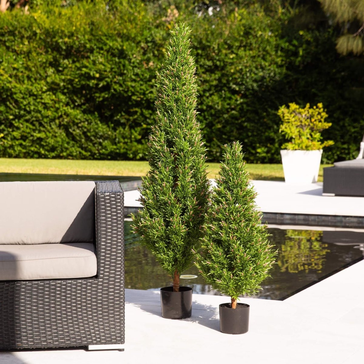 Artificial plants vs. real plants -- an honest comparison for people who are deciding. - TidyPlant