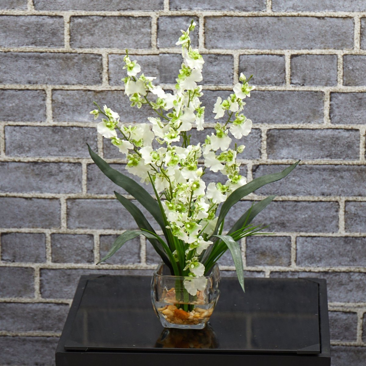 Desk Plant Guide - For Office & Gifting - TidyPlant