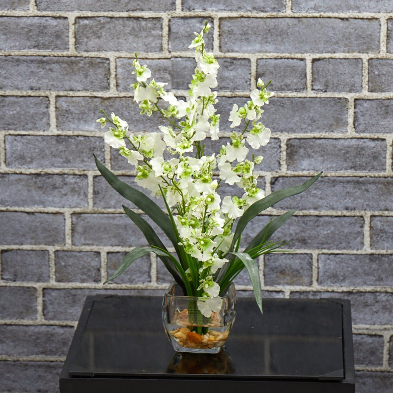 Desk Plant Guide - For Office & Gifting - TidyPlant