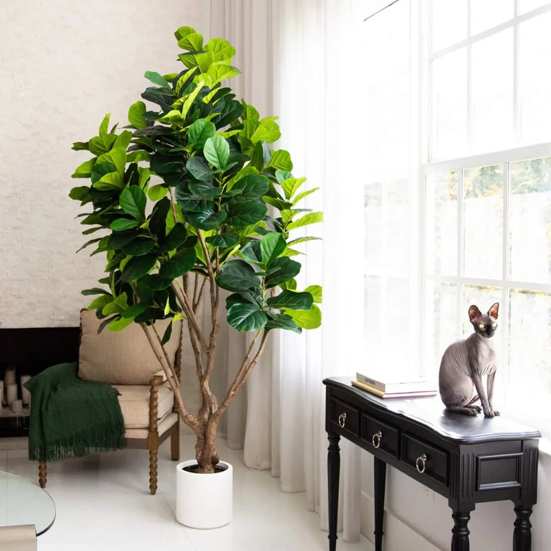 Luxury housewarming gift guide - TidyPlant