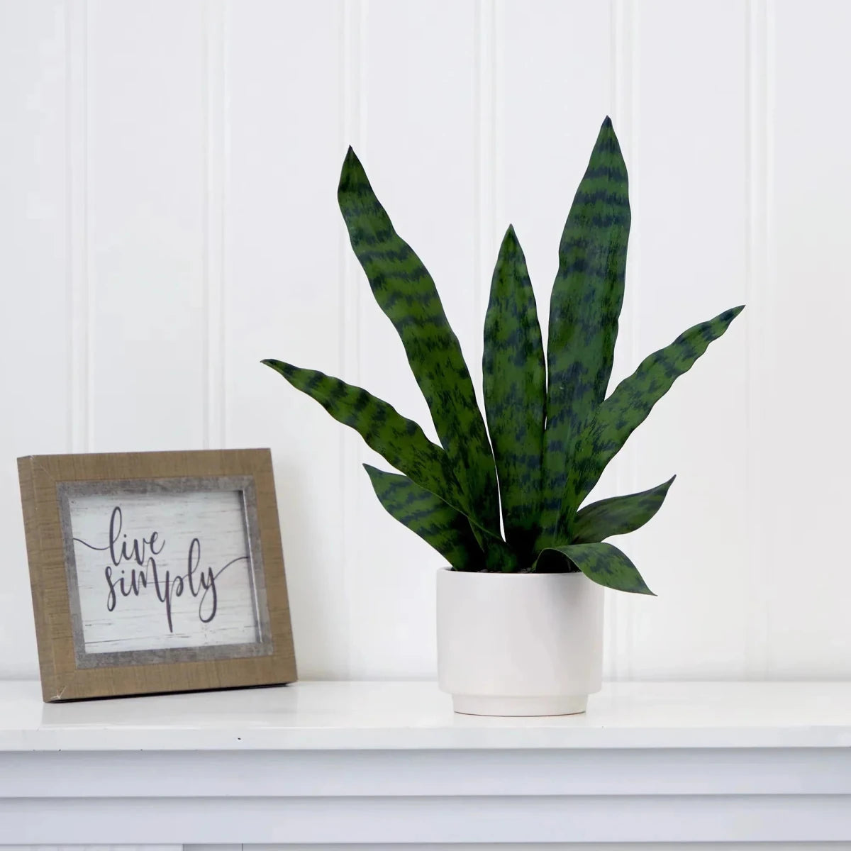 The Best Corporate Holiday Gifts for Clients - TidyPlant