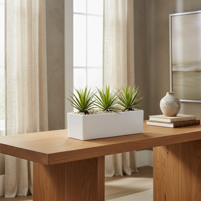 Work anniversary gift guide - TidyPlant