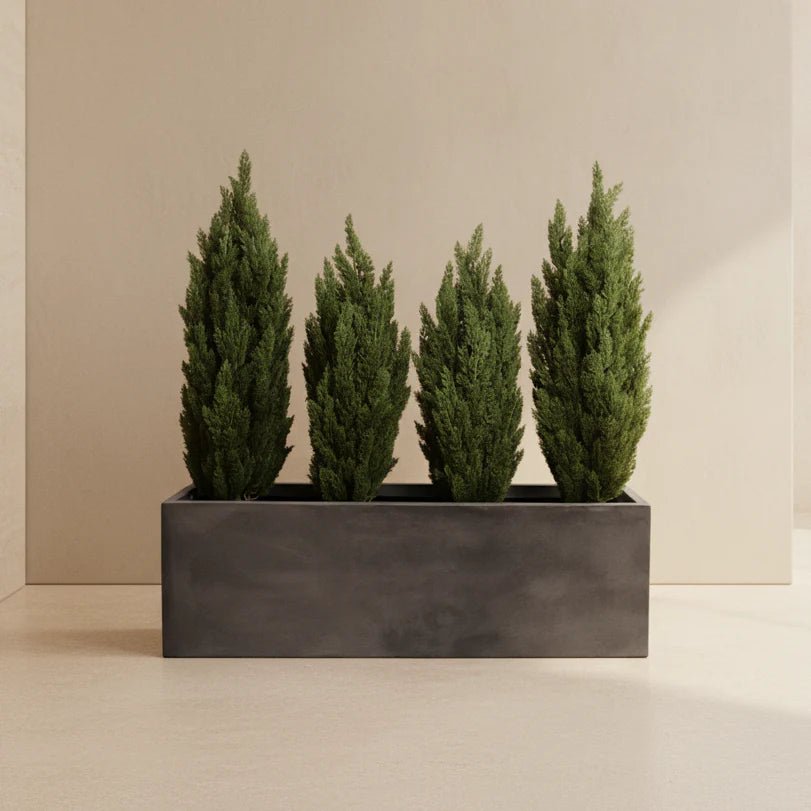 Bushes and Shrubs - TidyPlant