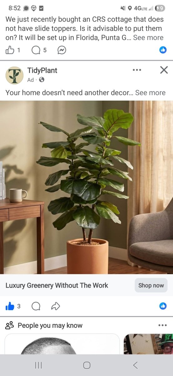 Editor's Picks - TidyPlant