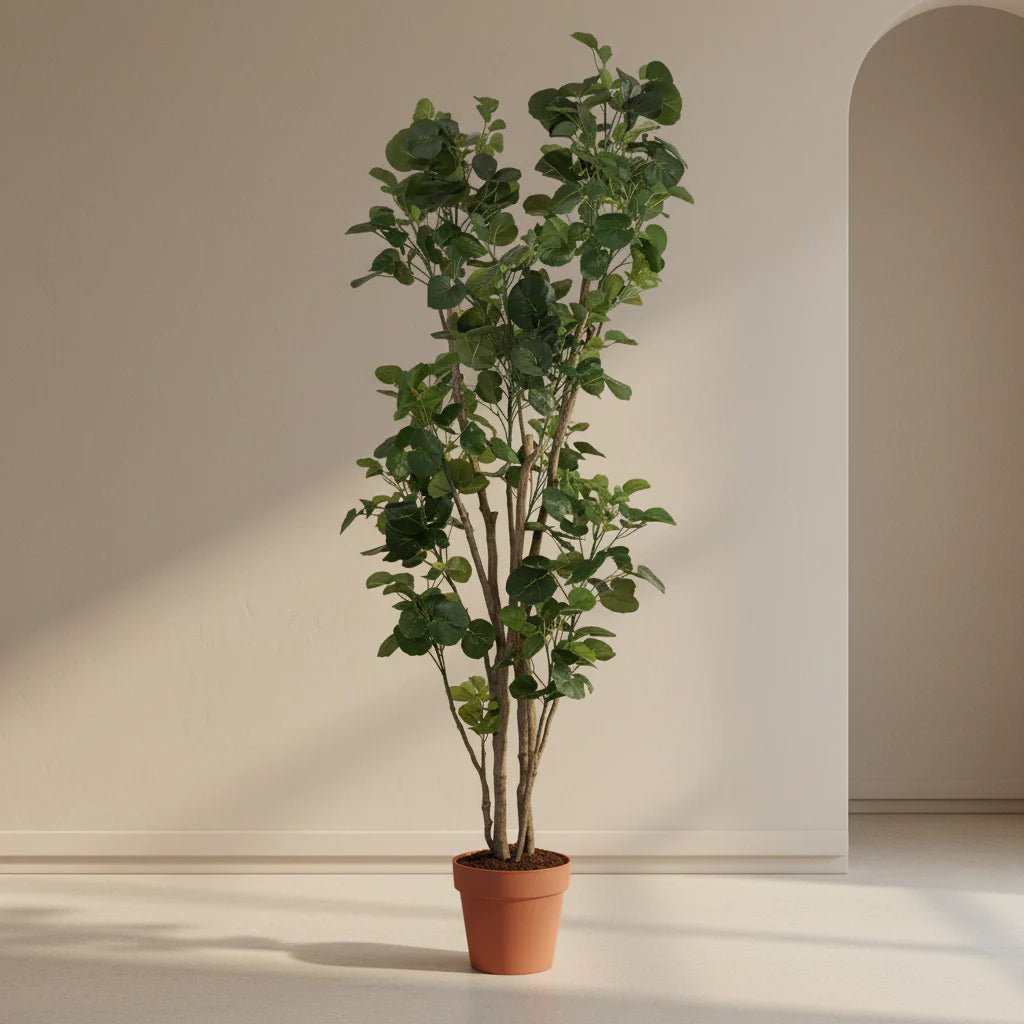 Trees - TidyPlant
