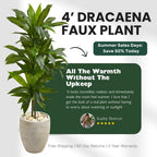 4' Dracaena Plant - Realistic Faux - TidyPlant