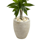 4' Dracaena Plant - Realistic Faux - TidyPlant