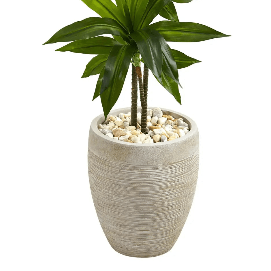 4' Dracaena Plant - Realistic Faux - TidyPlant
