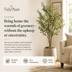 4' Dracaena Plant - Realistic Faux - TidyPlant