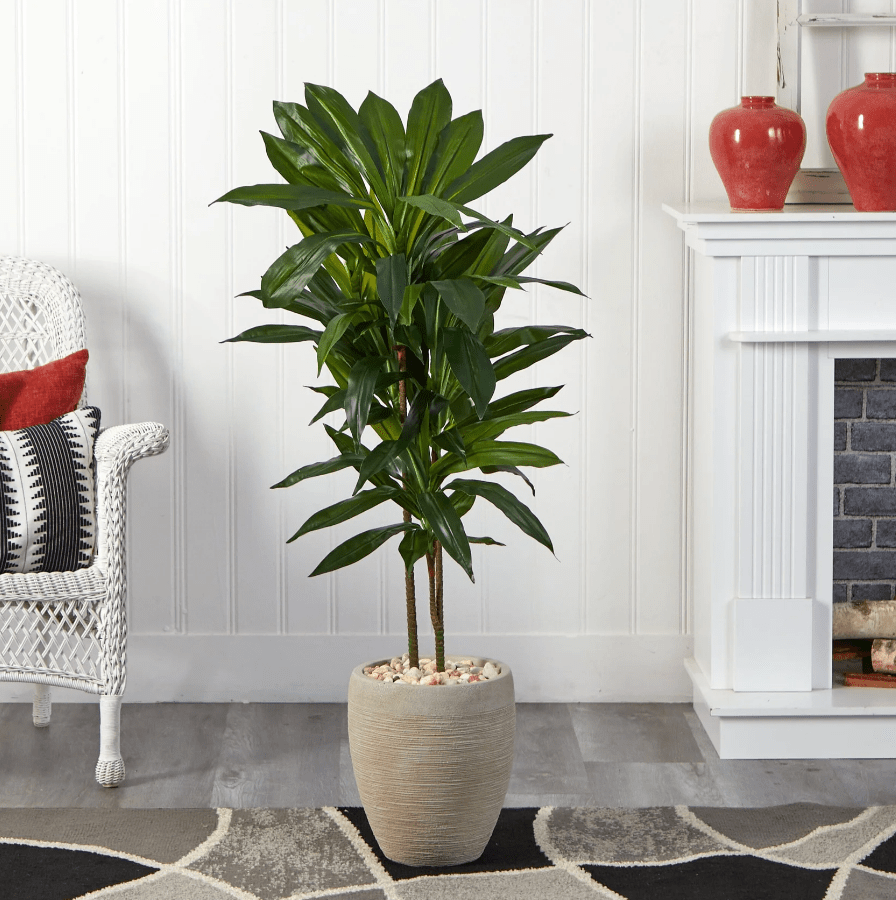 4' Dracaena Plant - Realistic Faux - TidyPlant
