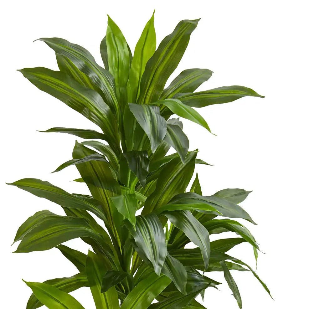 4' Dracaena Plant - Realistic Faux - TidyPlant