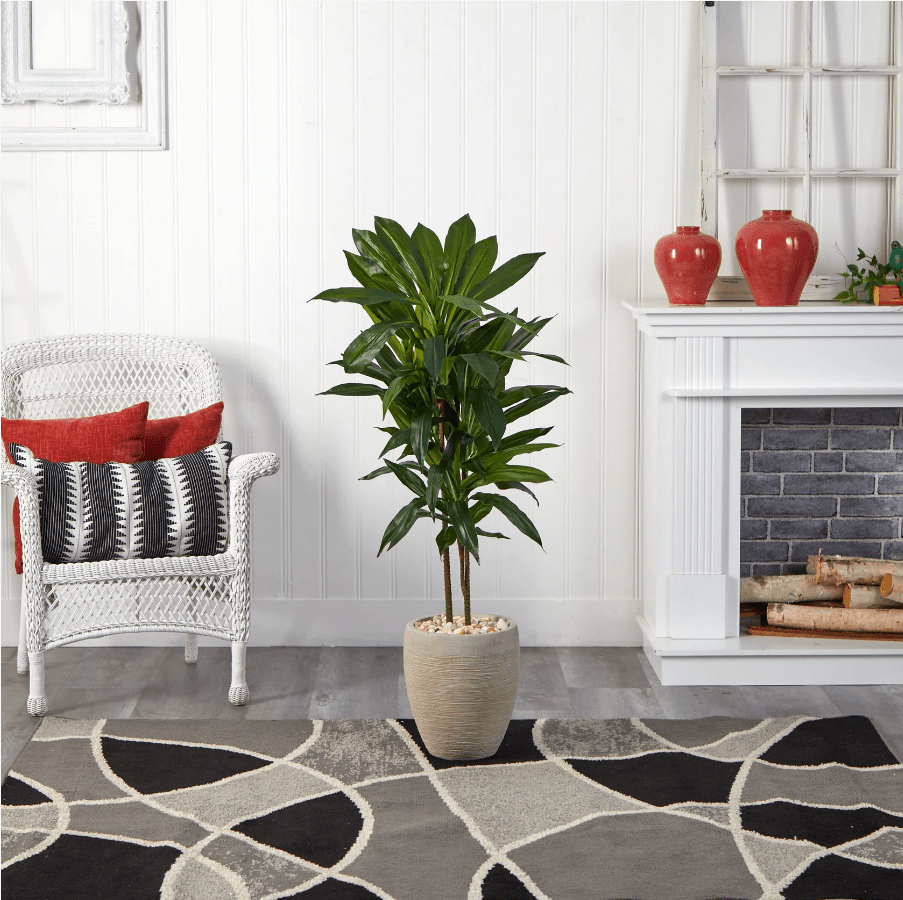 4' Dracaena Plant - Realistic Faux - TidyPlant