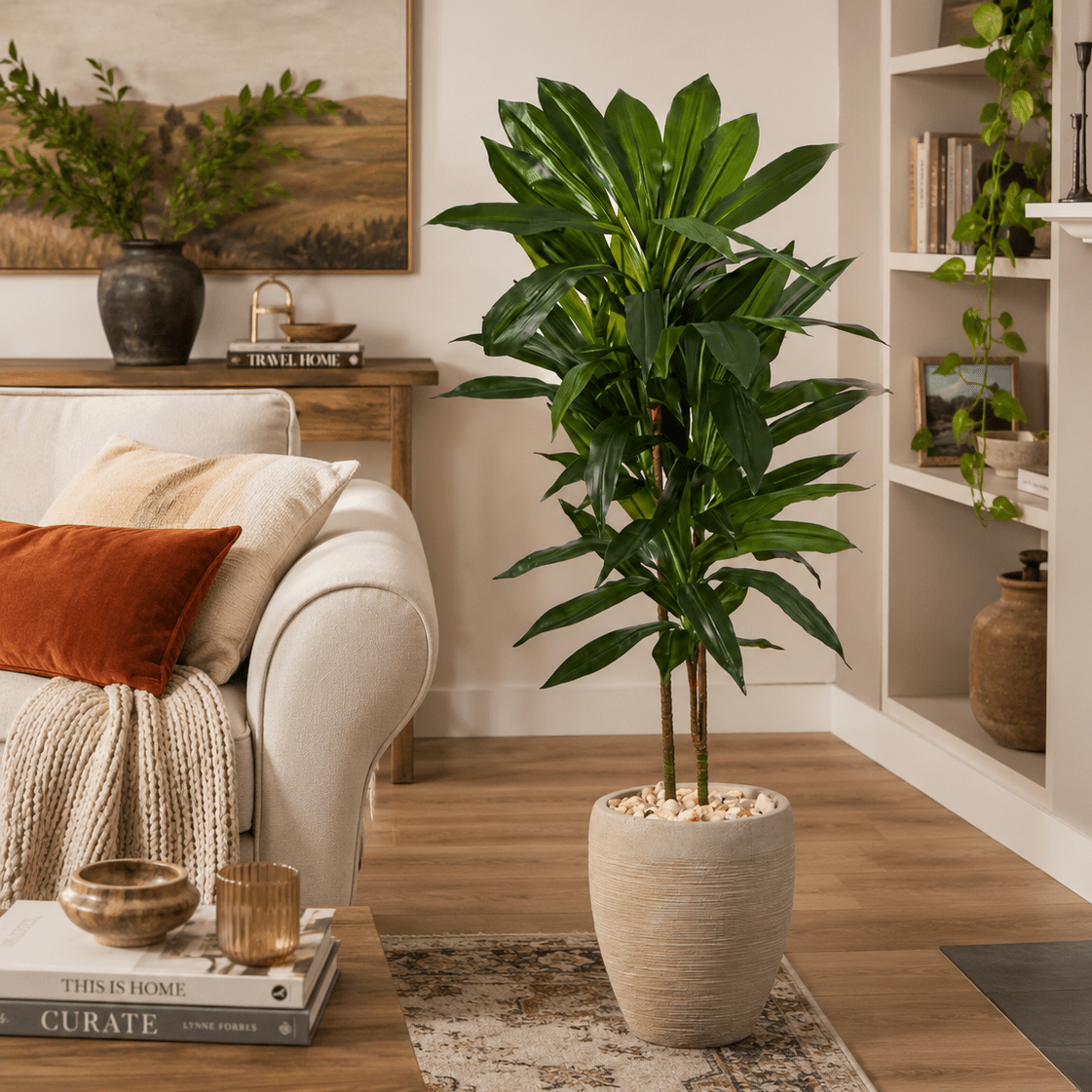 4' Dracaena Plant - Realistic Faux - TidyPlant