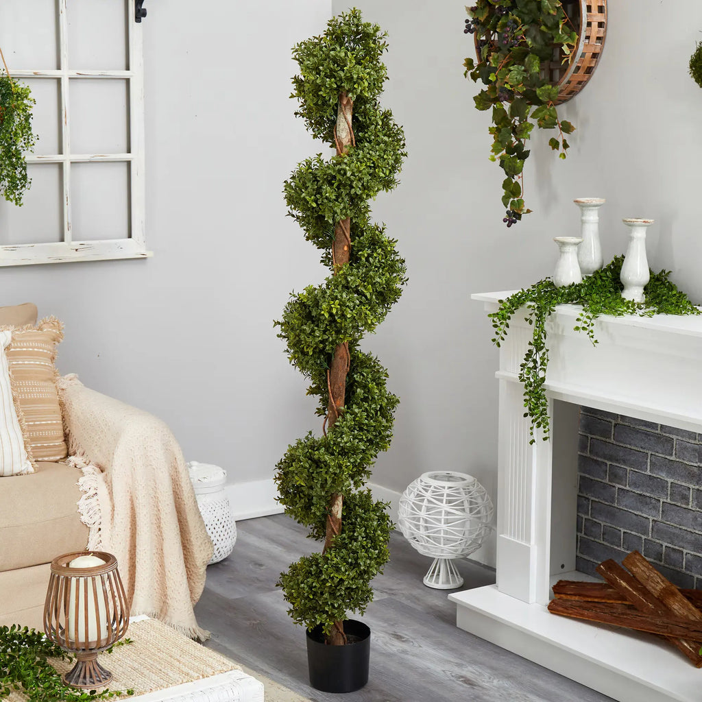 6’ Boxwood Spiral Topiary - TidyPlant