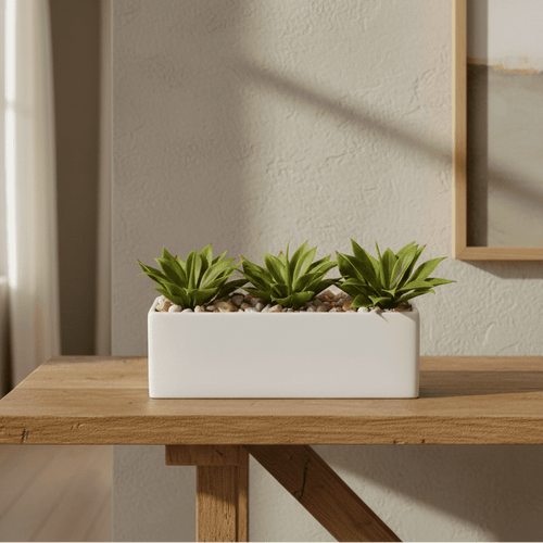 Agave Garden Arrangement - TidyPlant