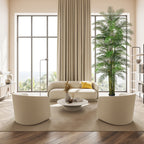 Areca Palm Tree - TidyPlant