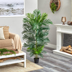 Areca Palm Tree - TidyPlant