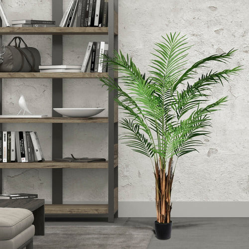 Areca Palm Tree - TidyPlant