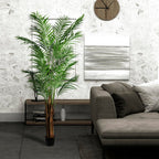 Areca Palm Tree - TidyPlant