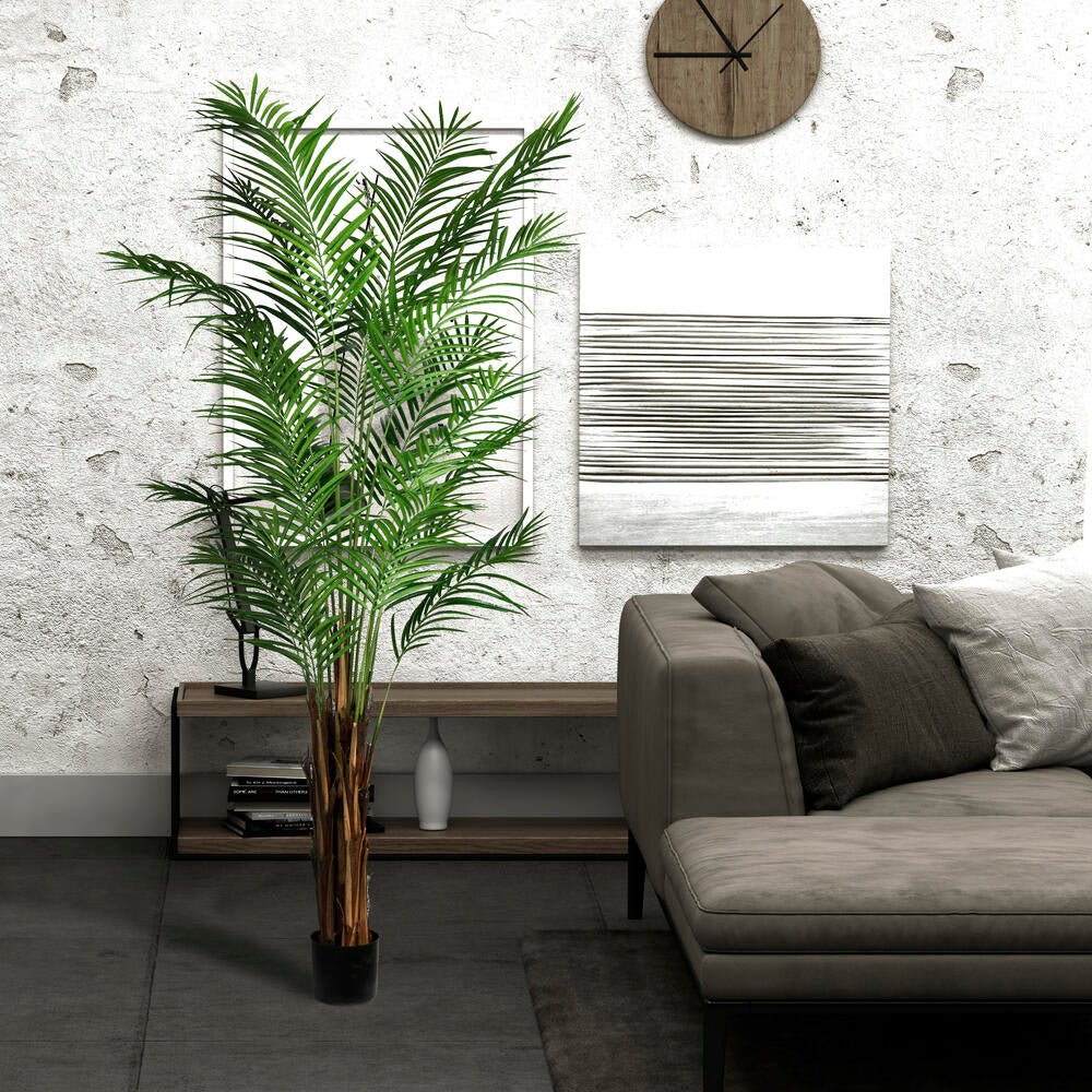 Areca Palm Tree - TidyPlant