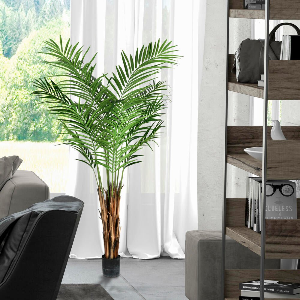 Areca Palm Tree - TidyPlant