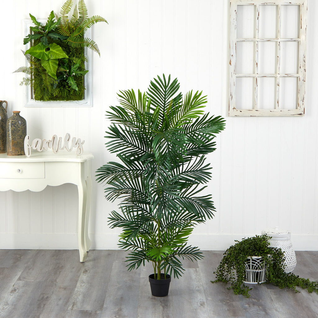 Areca Palm Tree - TidyPlant