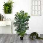 Areca Palm Tree - TidyPlant