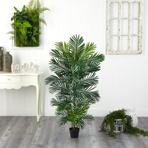 Areca Palm Tree - TidyPlant