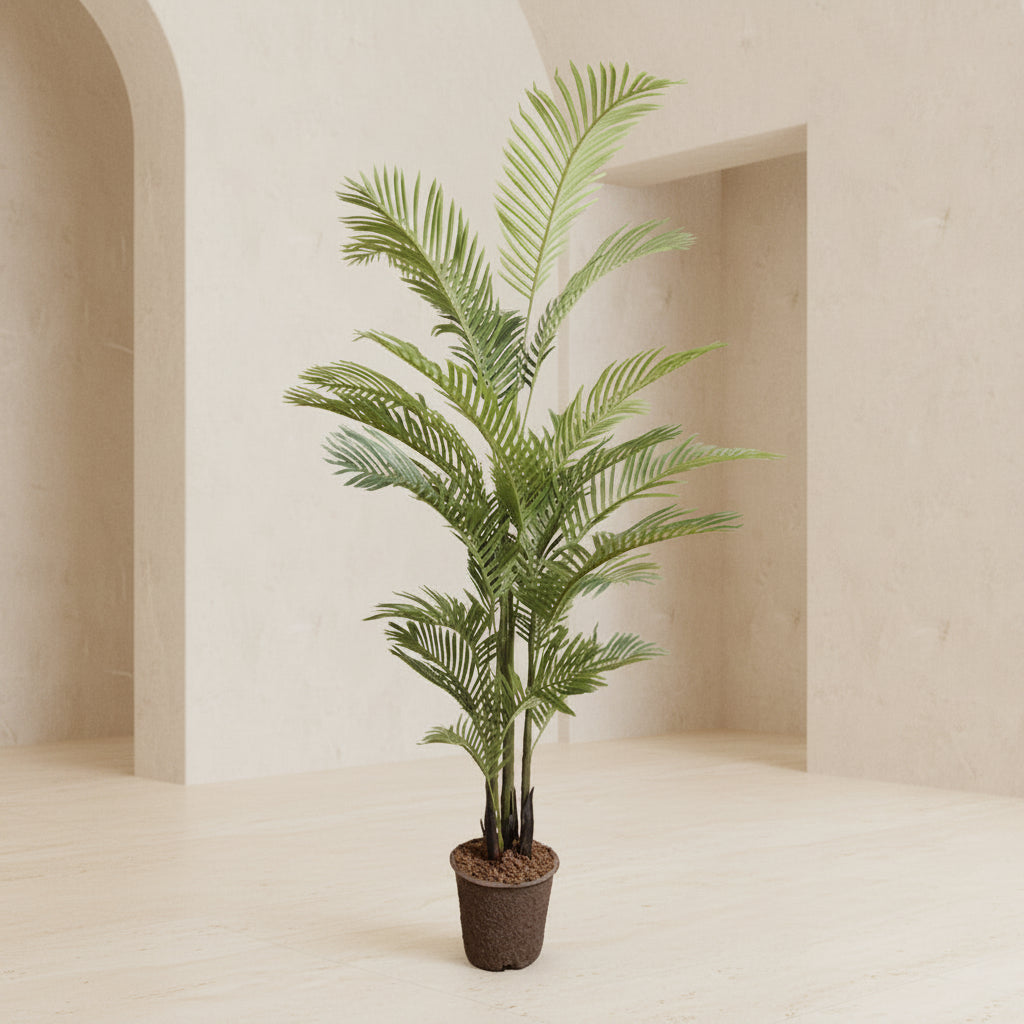 Areca Palm Tree - TidyPlant