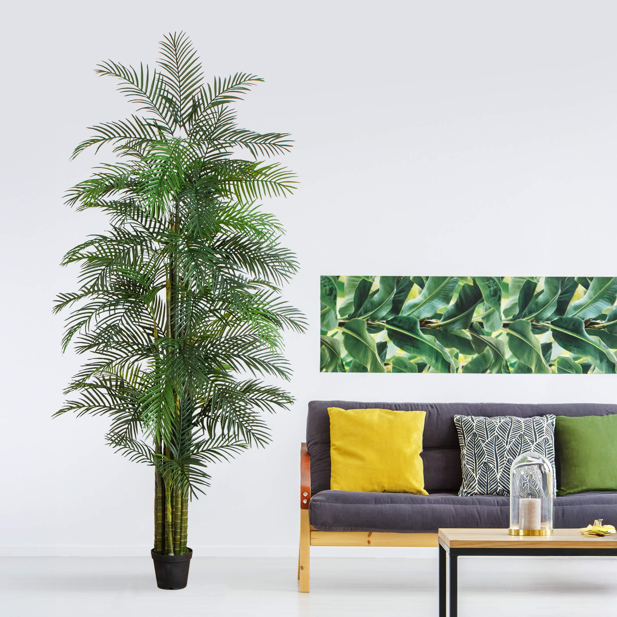 Areca Palm Tree - TidyPlant