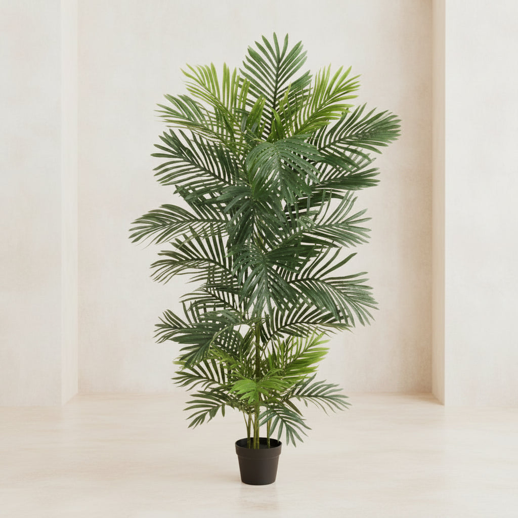 Areca Palm Tree - TidyPlant