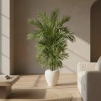 5' Areca Palm Tree