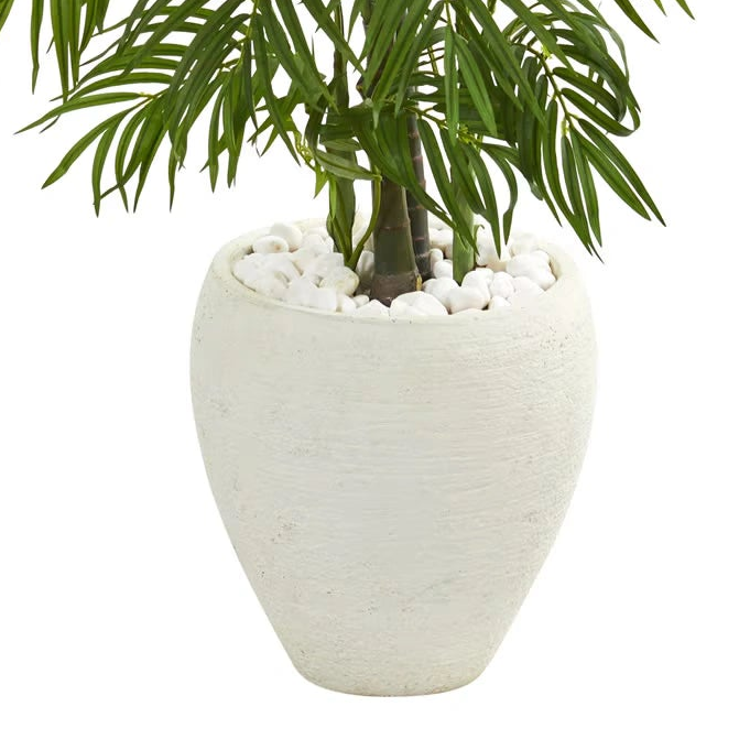 5' Areca Palm Tree