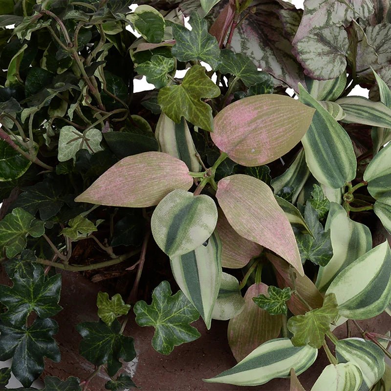 Assorted Greenery Arrangement in Clay Bowl - TidyPlant