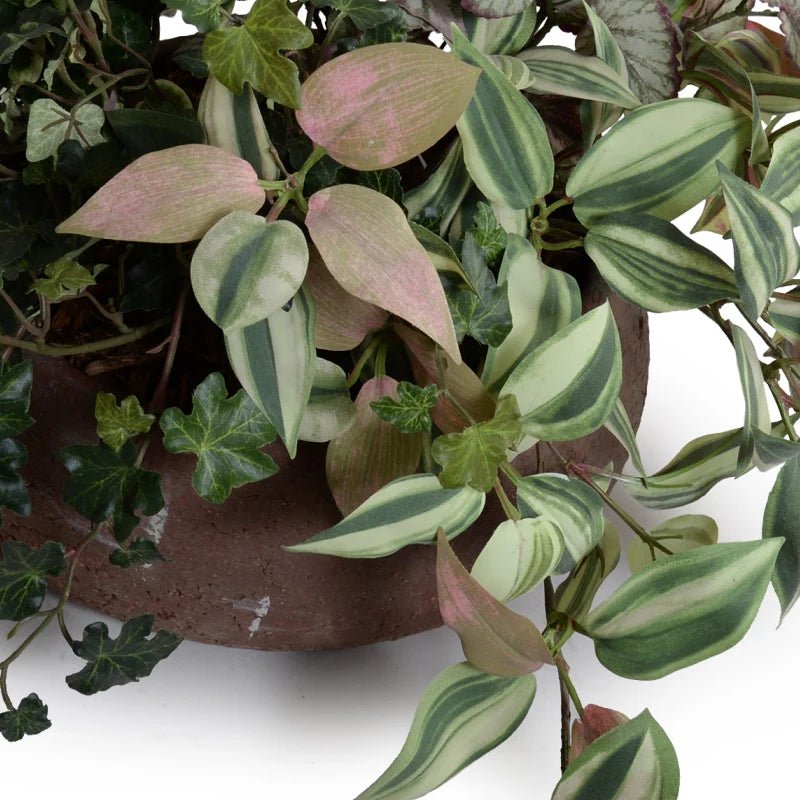 Assorted Greenery Arrangement in Clay Bowl - TidyPlant