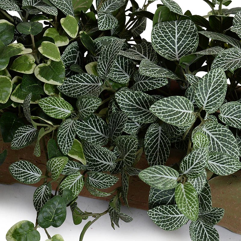 Assorted Greenery Arrangement in Clay Planter - TidyPlant