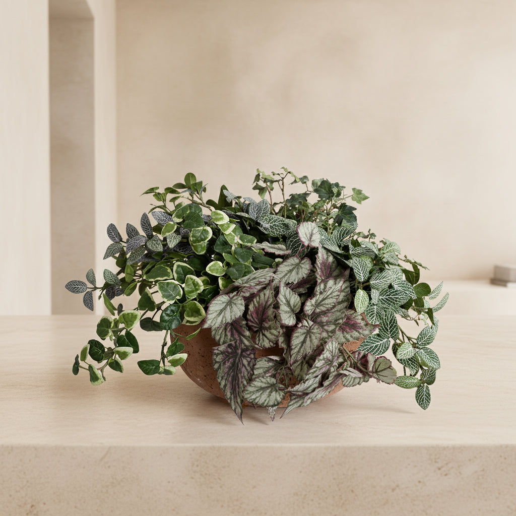 Assorted Ivy Greenery Arrangement in Clay Bowl - TidyPlant