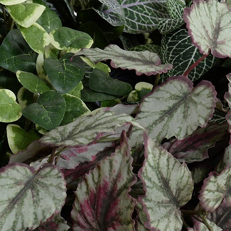 Assorted Ivy Greenery Arrangement in Clay Bowl - TidyPlant