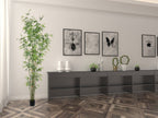 Bamboo Tree - TidyPlant