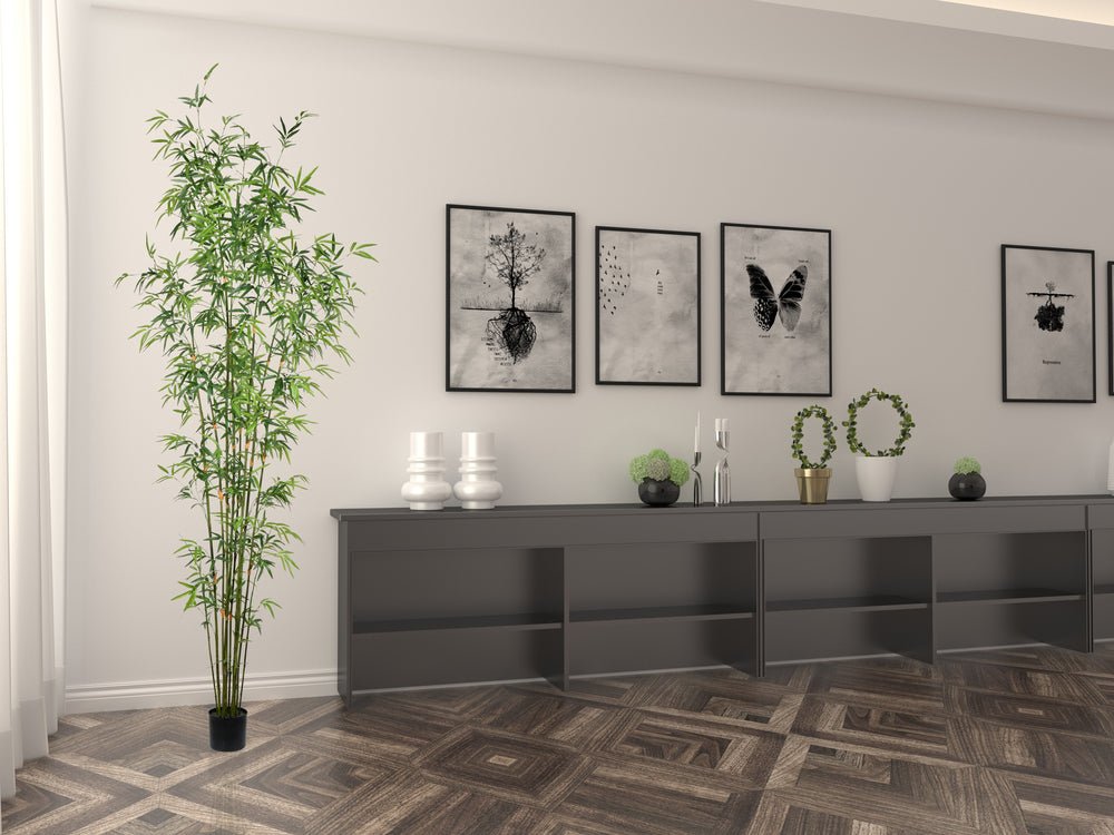 Bamboo Tree - TidyPlant