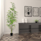 Bamboo Tree - TidyPlant