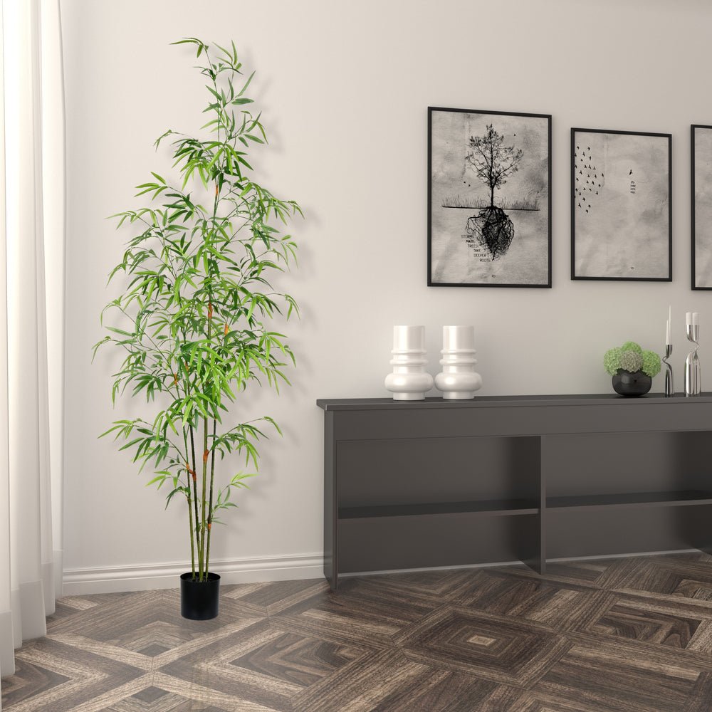 Bamboo Tree - TidyPlant