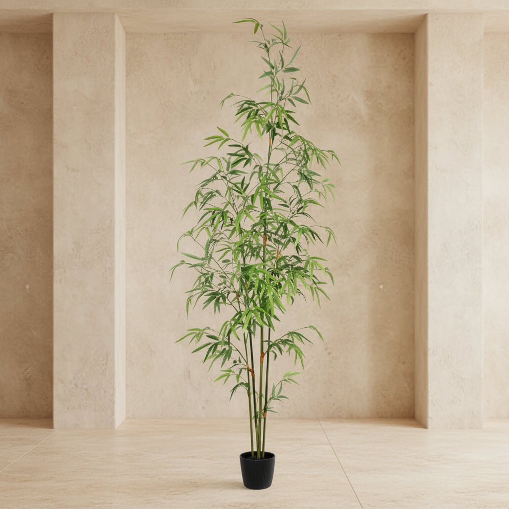 Bamboo Tree - TidyPlant