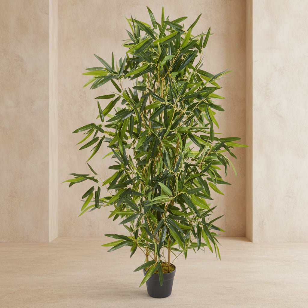 Bamboo Tree - TidyPlant