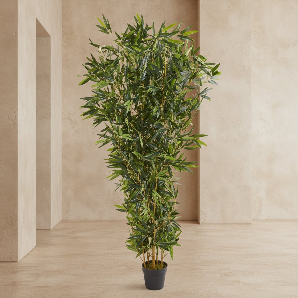 Bamboo Tree - TidyPlant