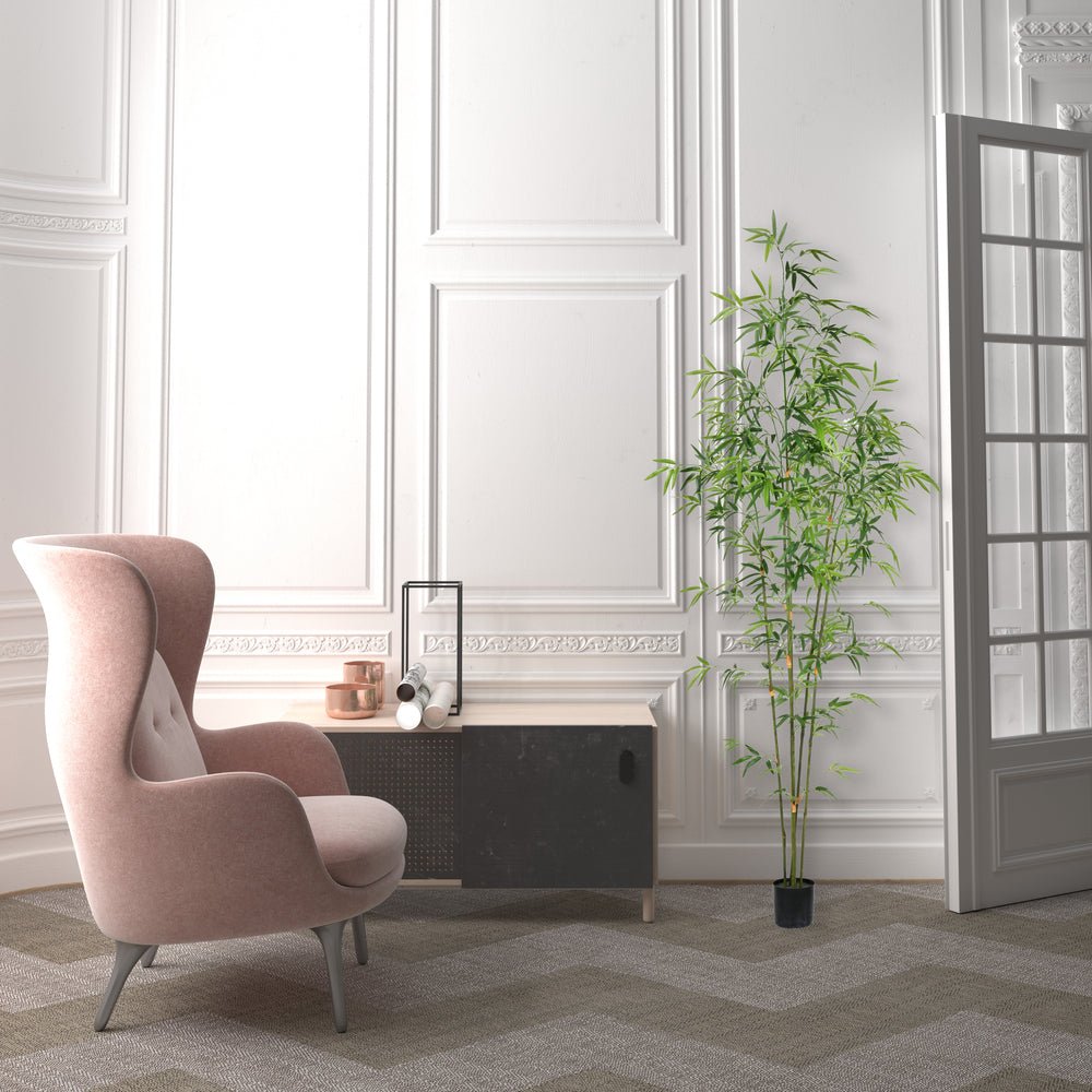 Bamboo Tree - TidyPlant
