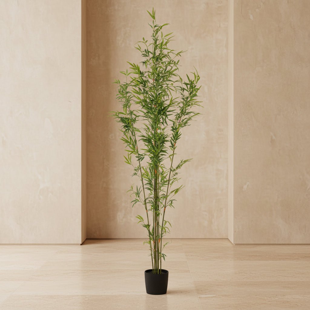 Bamboo Tree - TidyPlant