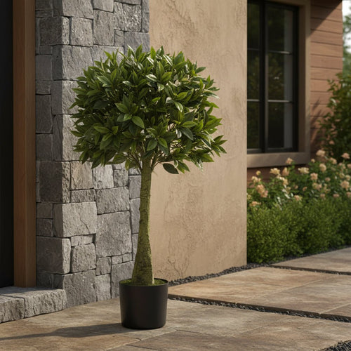 Bay Leaf Topiary - TidyPlant