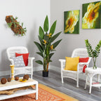 Bird of Paradise - TidyPlant